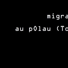 Migration,  de la conception au déploiement