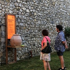 Tournée mondiale des Baronnies : Les Rudistes, ent