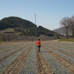 Arpentage Baronnies - saison 2